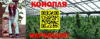 прущие грибы Первоуральск