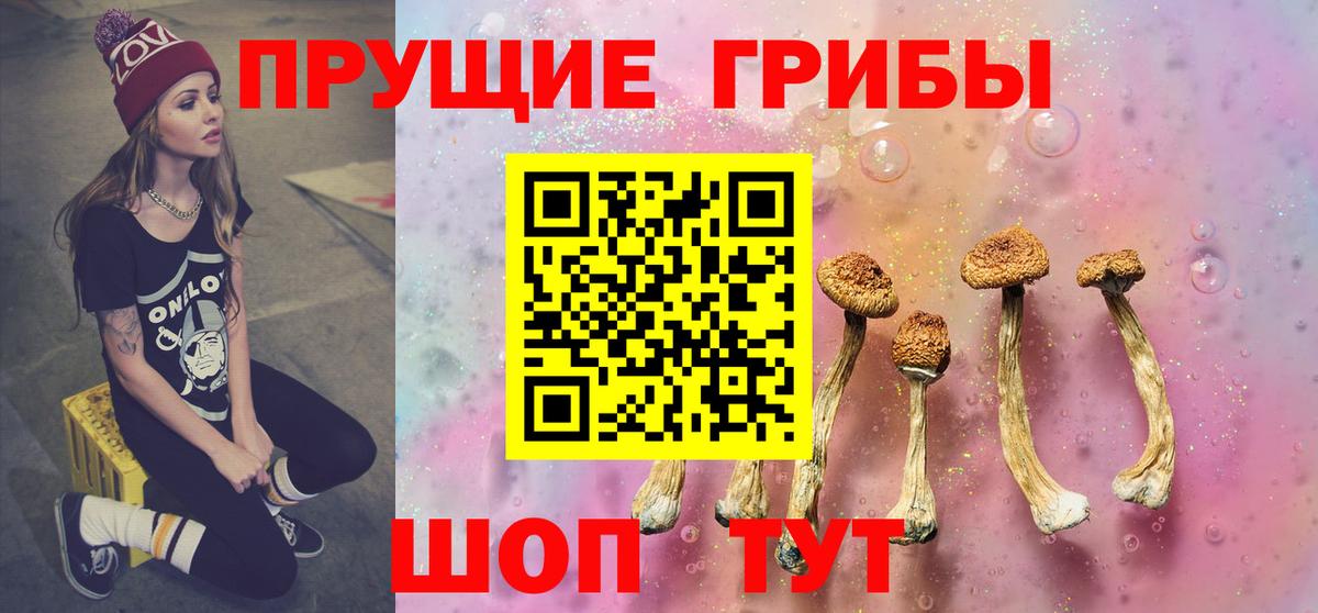 Свободный  Псилоцибиновые грибы Psilocybine cubensis  Галлюциногенные грибы ЛСД  Вход с VPN 
